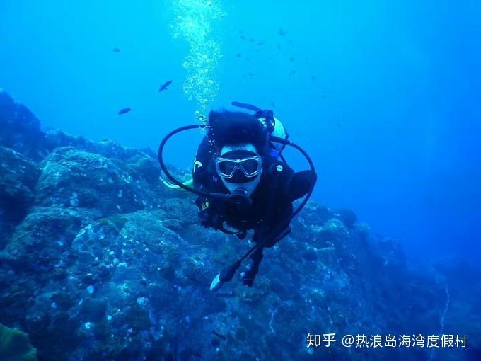 功夫熊猫官方手游